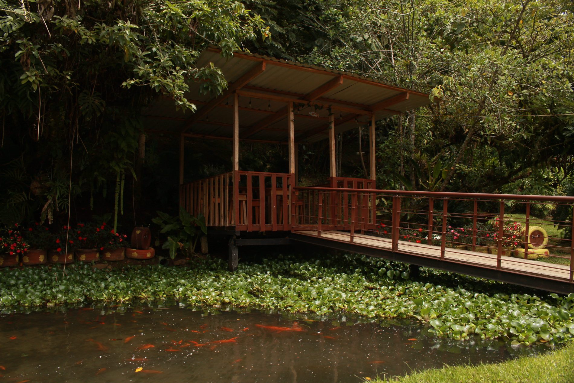 El lago con su quiosco y el puente de madera