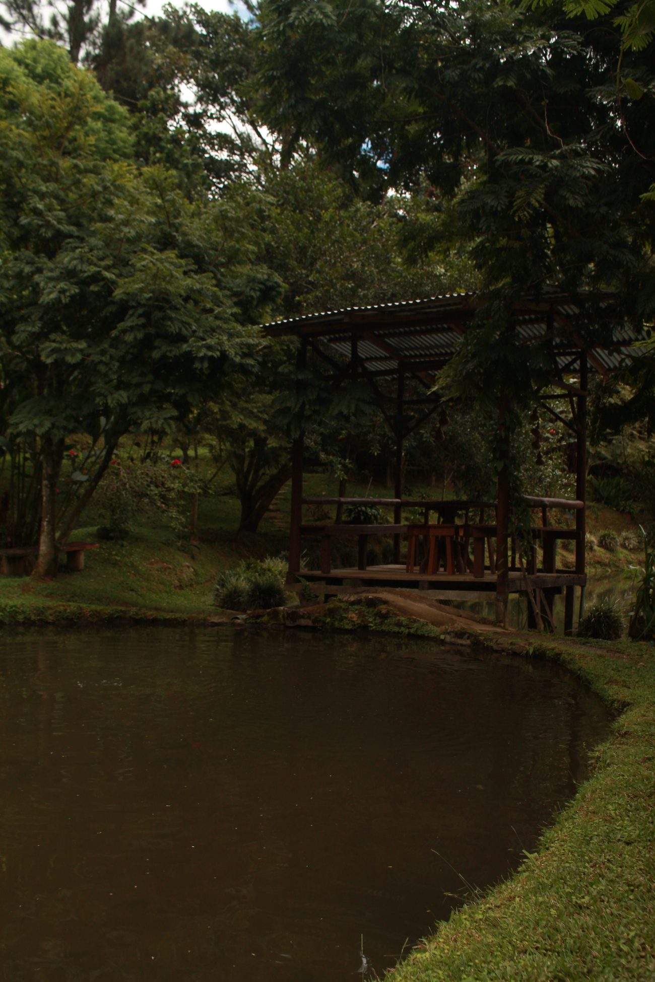 Rancho de madera entre el jardín